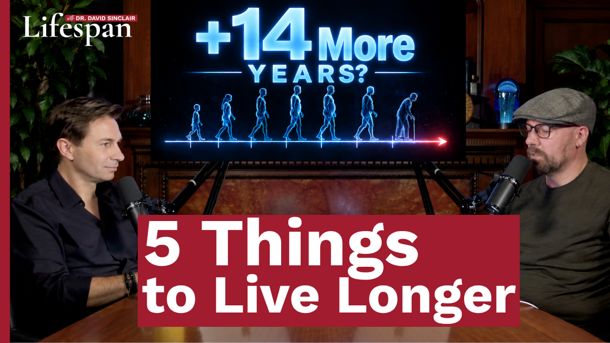 5 Things You Can Do to Live Longer — Lifespan with Dr. David Sinclair, Season 2 Episode 9