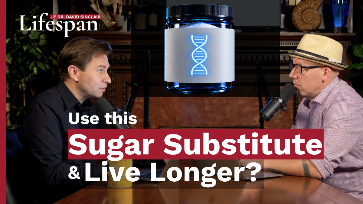 This Sugar Substitute May Extend Your Life - Lifespan with Dr. David Sinclair, Season 2 Episode 9