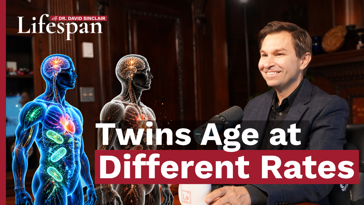Why We Age