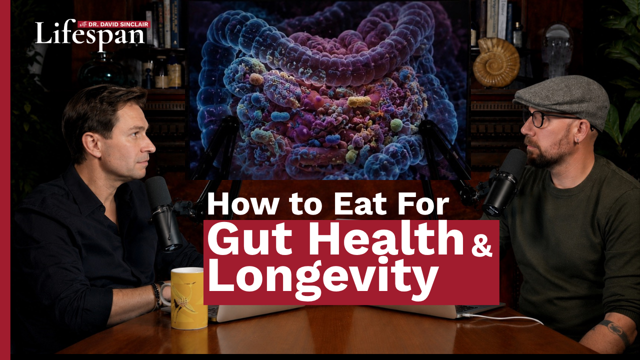 How to Eat for Gut Health & Longevity