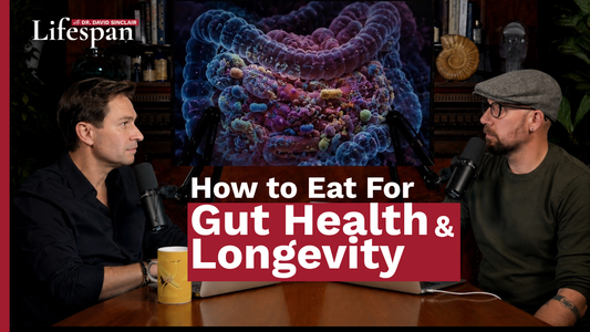How to Eat for Gut Health & Longevity