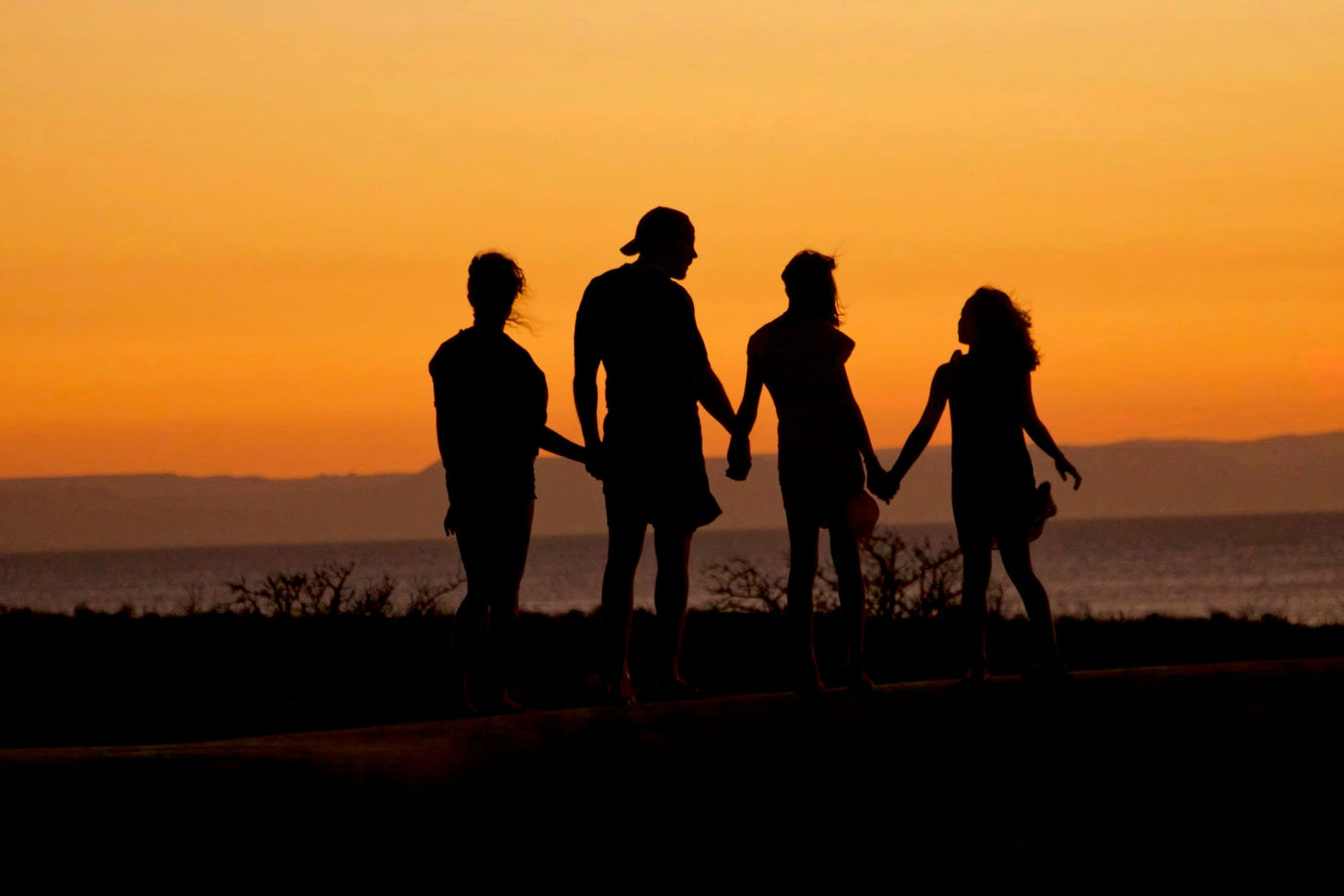 Healthspan as a Family Value