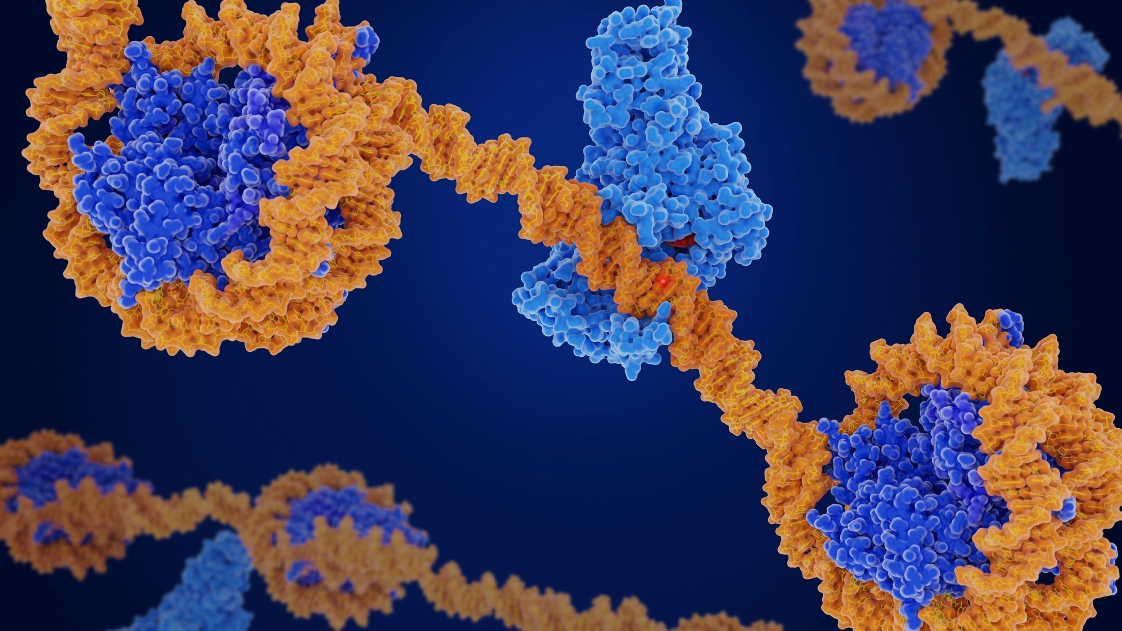 When Cells Forget: Inside the Information Theory of Aging