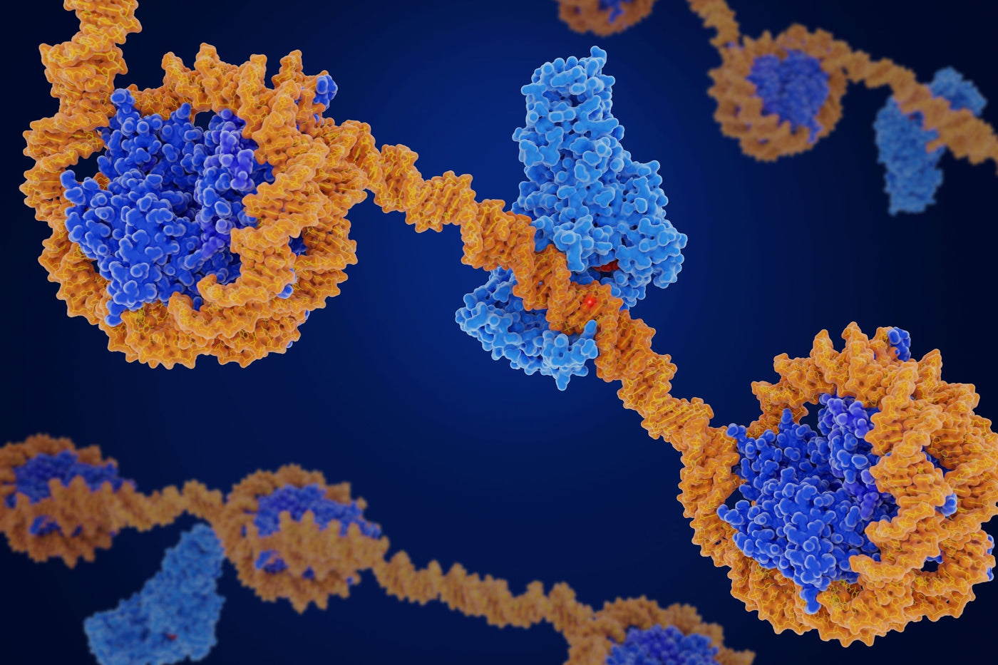 When Cells Forget: Inside the Information Theory of Aging
