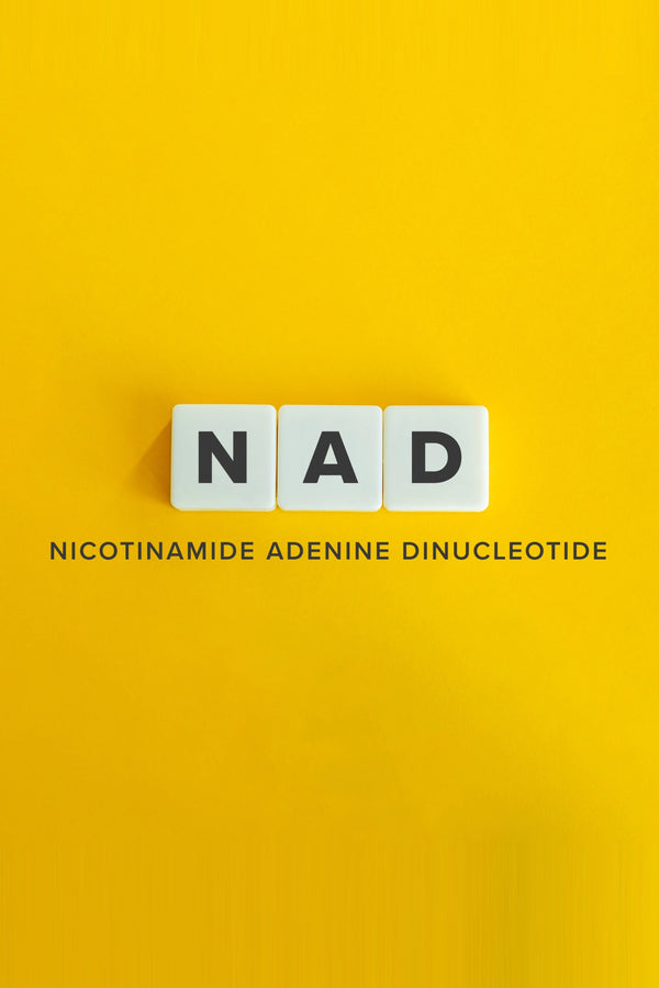 Blood NAD+ Levels Tell Us Less Than Many People Think