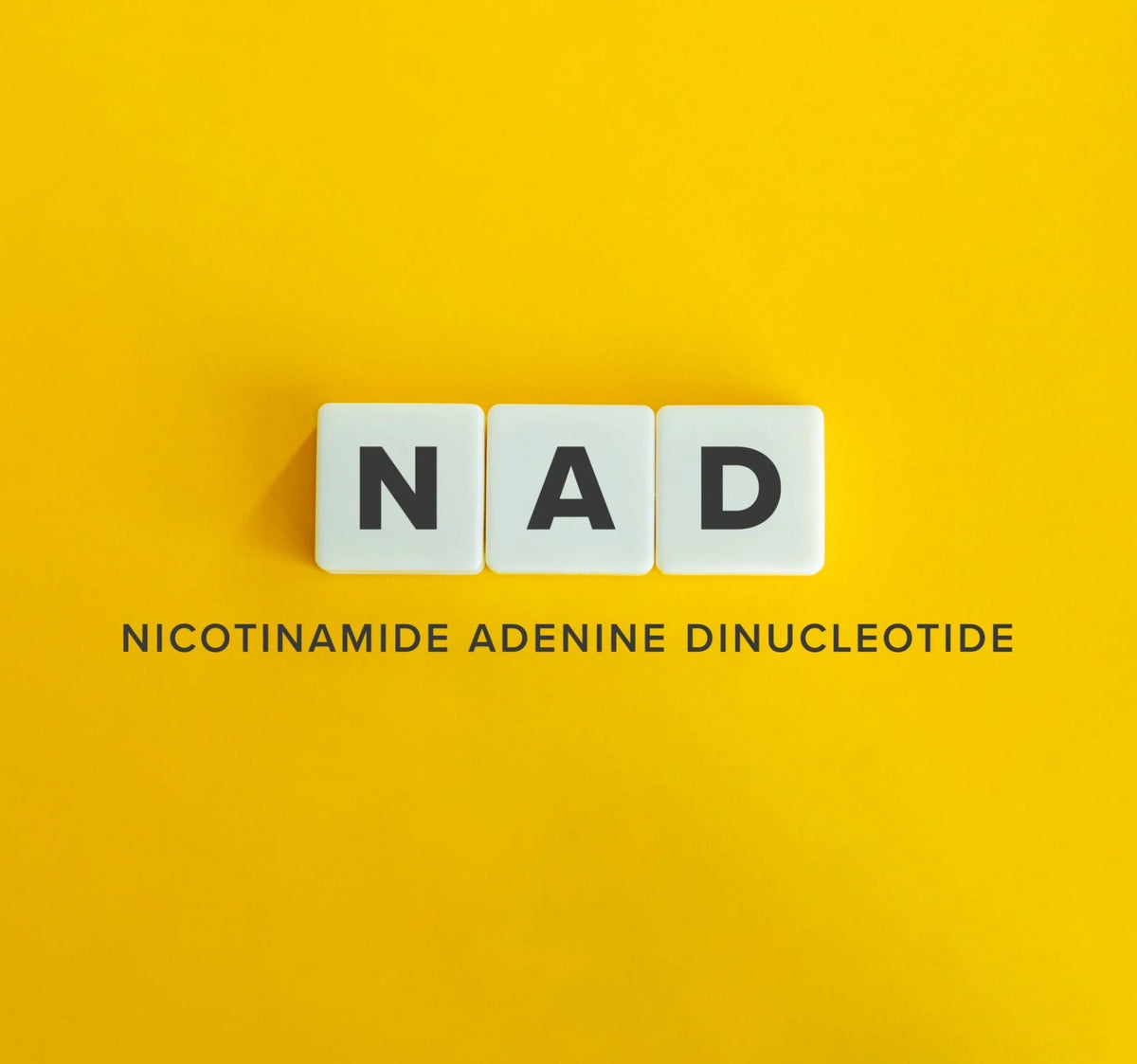 Blood NAD+ Levels Tell Us Less Than Many People Think