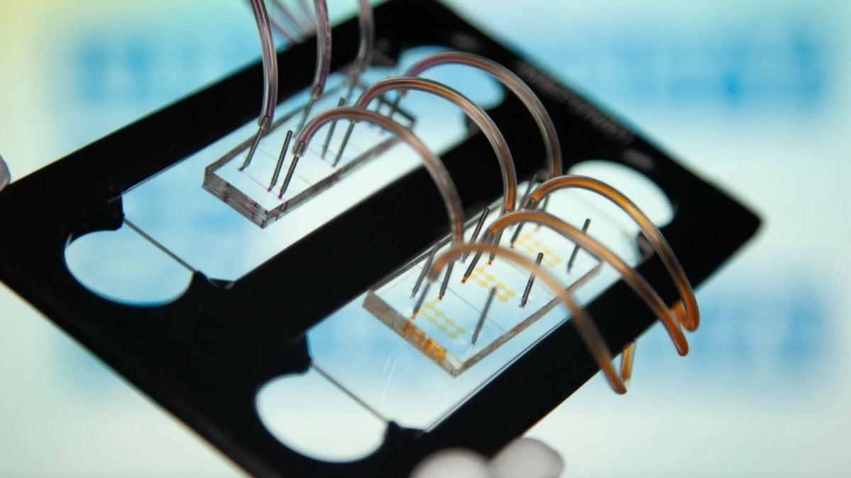 Human on a Chip