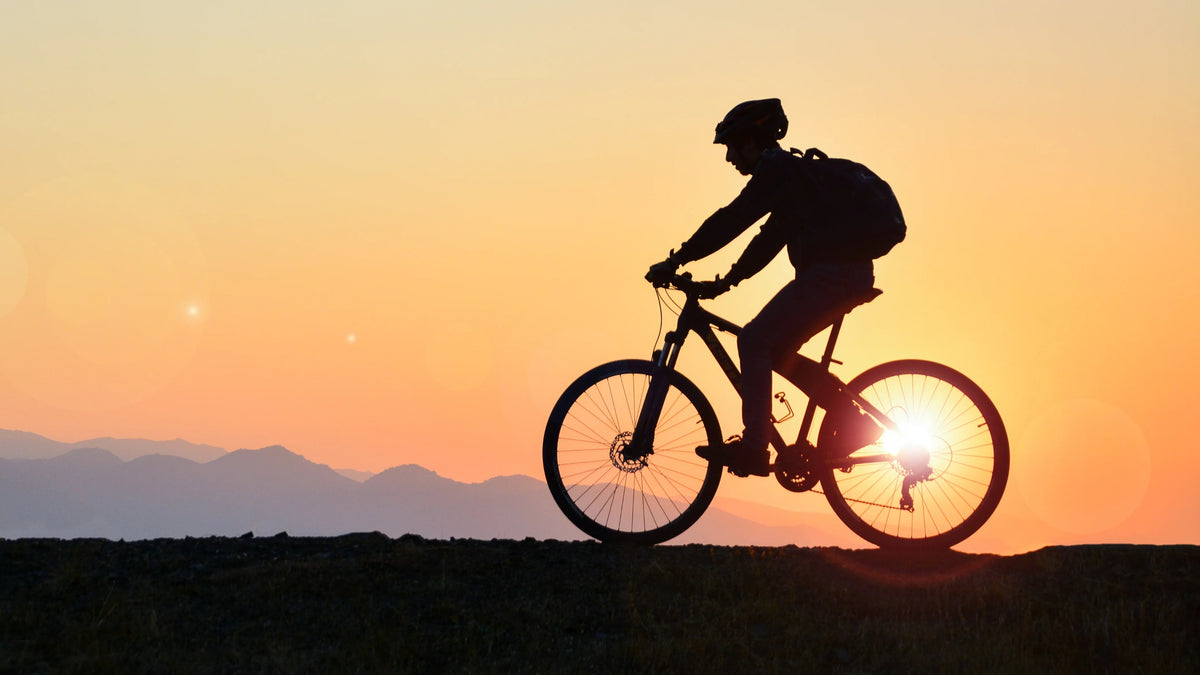 A Bike Ride a Day Keeps the Grim Reaper Away
