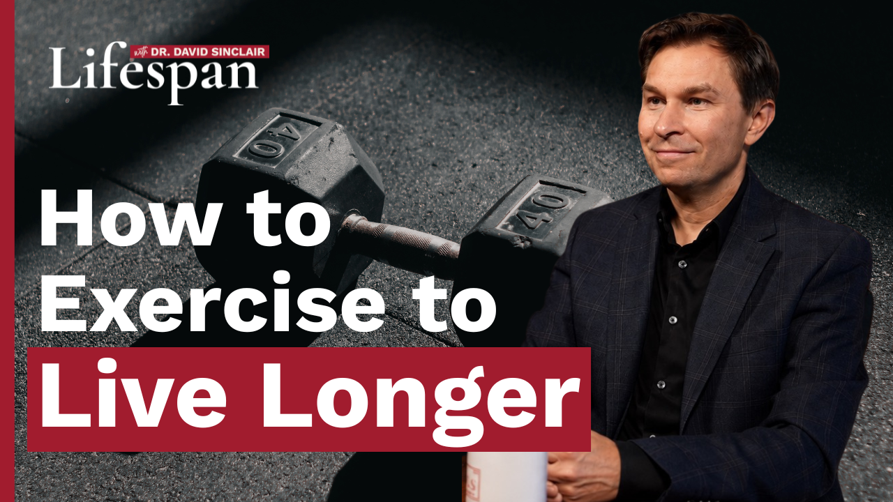 How to Exercise to Live Longer