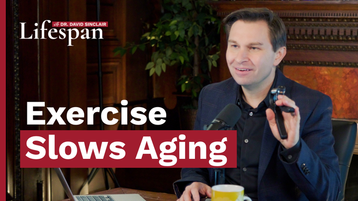 Why Does Exercise Help You Live Longer