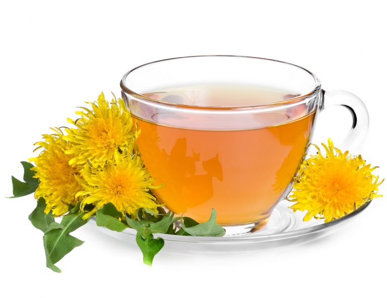 dandelion-tea-and-weight-loss-guide-lifespan